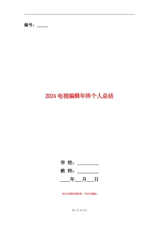 2024电视编辑年终个人总结