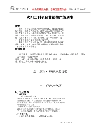 沈阳三利项目营销推广策划书