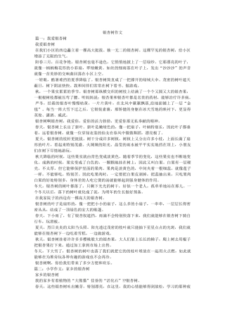 银杏树ۥ作文精选 