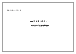某商城策划报告--《项目市场调研报告》