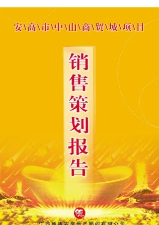 高安市中山商贸城销售策划报告(DOC104)