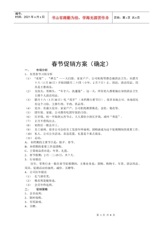 春节促销方案介绍