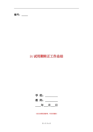 it试用期转正工作总结