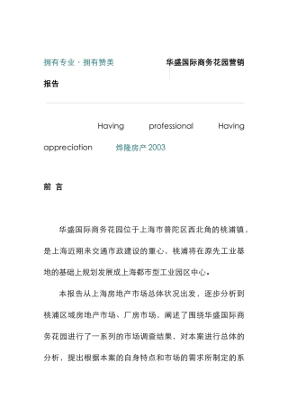 某商务园营销报告