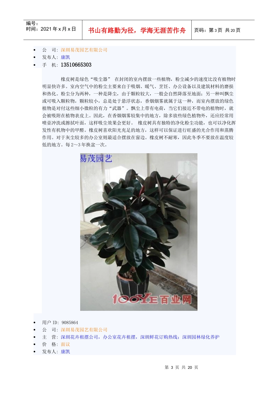 绿植租赁套餐价格_第3页