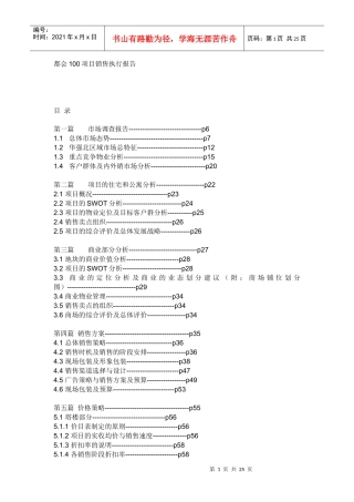 项目销售执行报告
