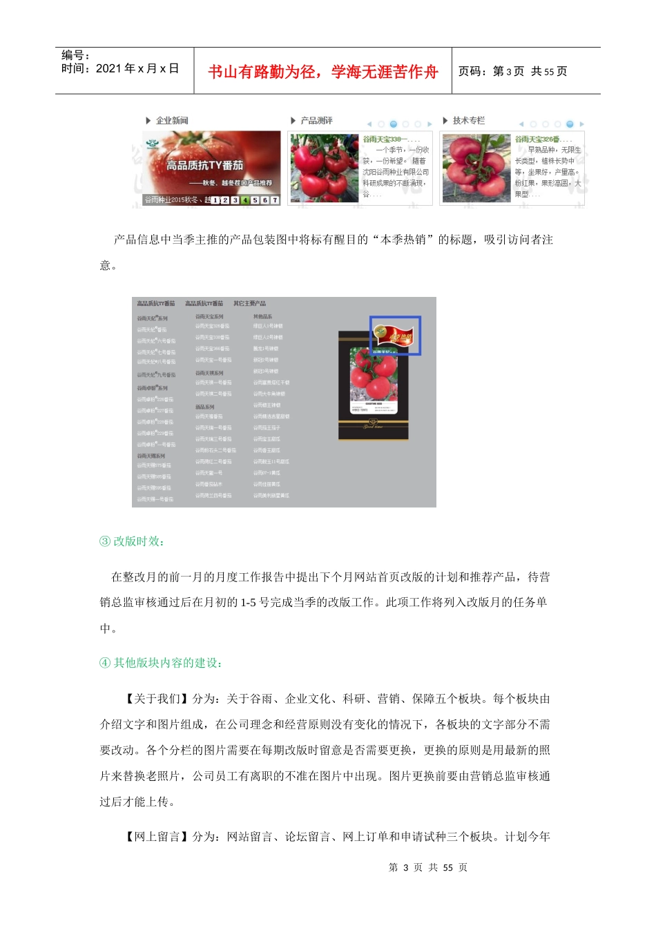 网络推广工作发展实施方案_第3页