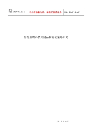 梅花生物科技集团品牌营销策略研究