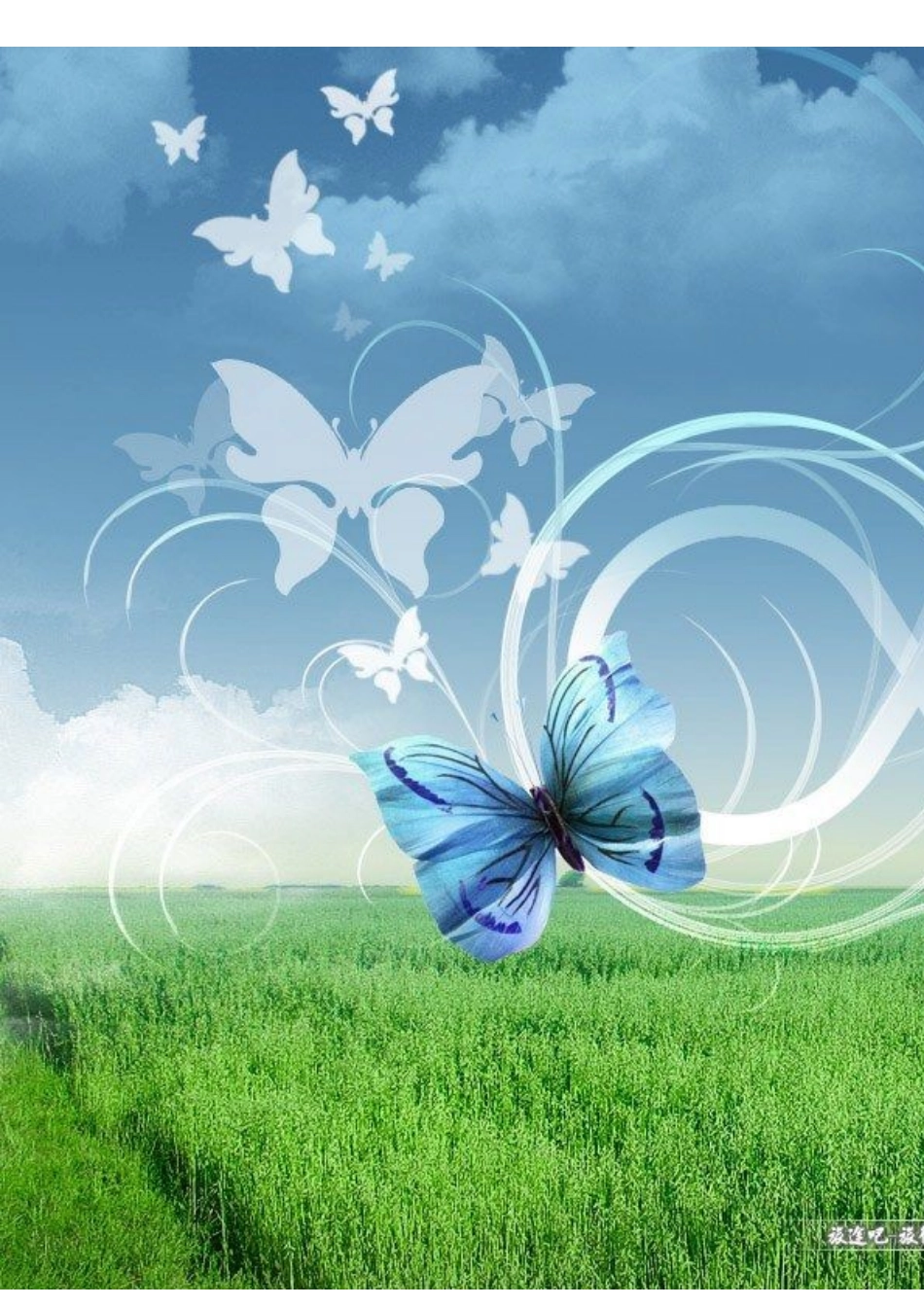 某便利店渠道战略分析课程_第1页