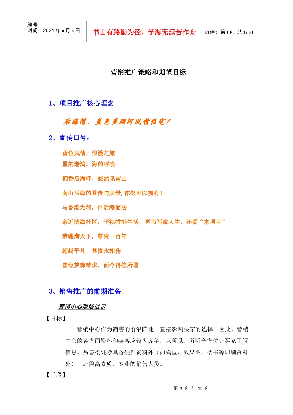 赛格达声营销推广策略_第1页