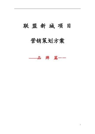 联盟新城项目营销策划方案
