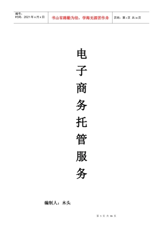 电子商务外包服务可研报告_新