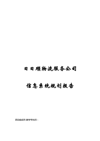 日日顺物流服务公司系统规划报告
