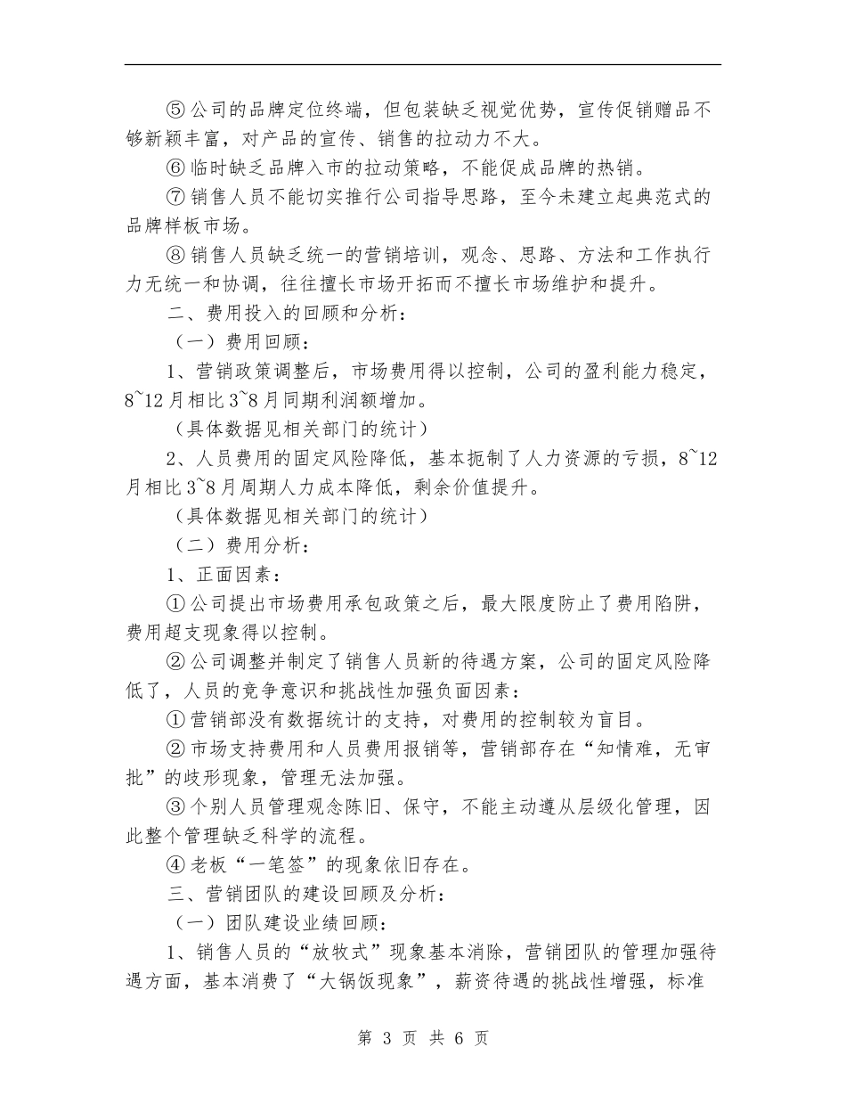 2024年销售总监的年度工作总结最新范文_第3页