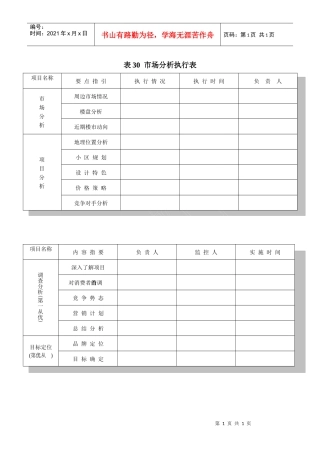 表30  市场分析执行表
