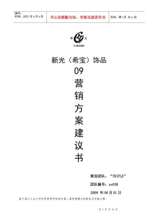新光09营销策划