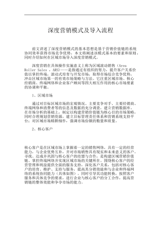 深度营销模式及导入流程探讨