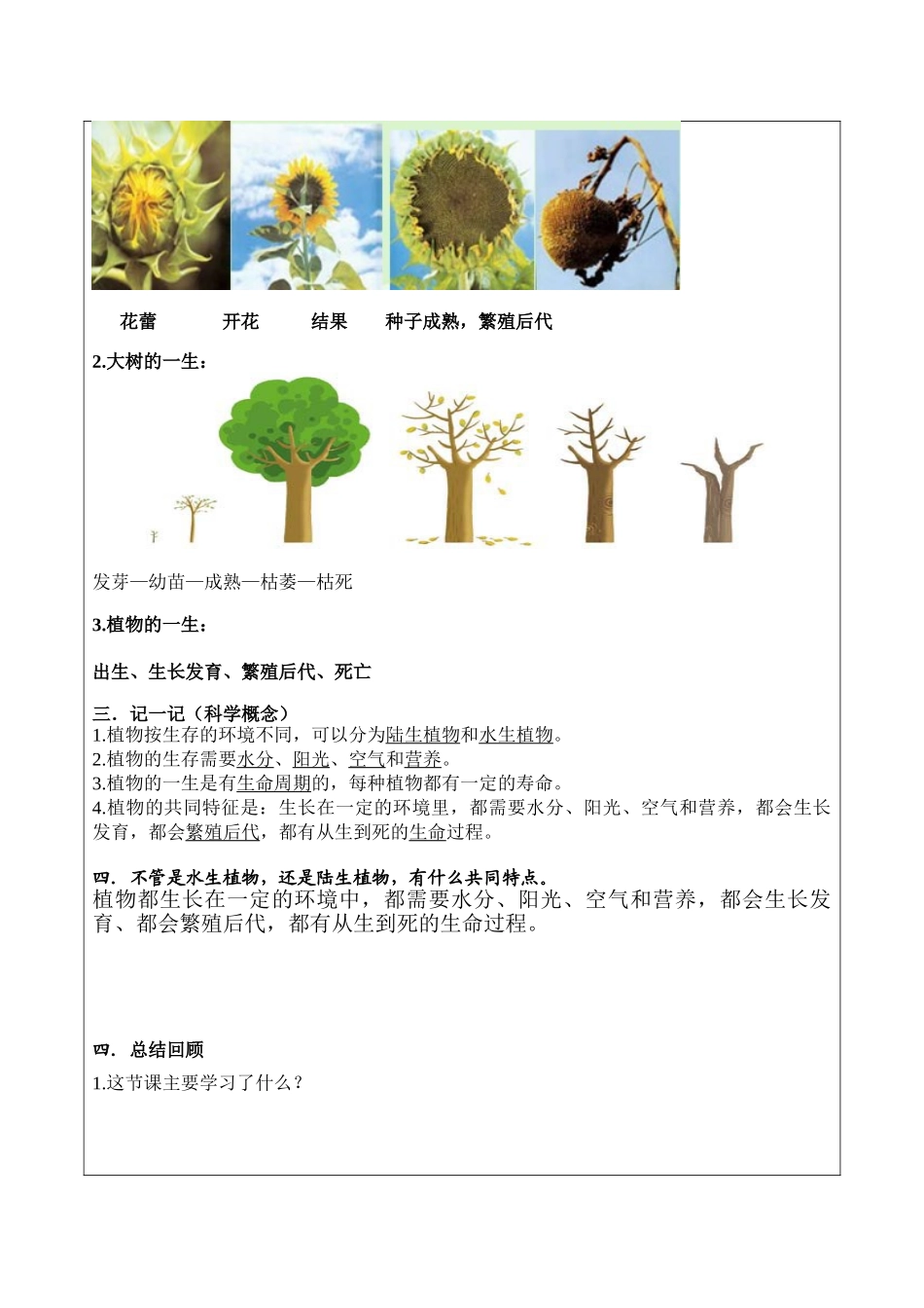 2024-2024年教科版科学三上《植物的共同特点》辅导讲义_第2页