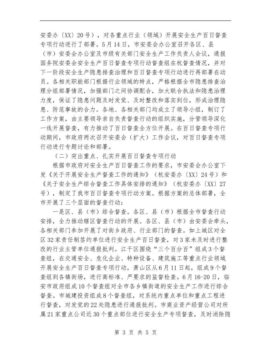 2024年市安全生产百日督查专项行动总结_第3页