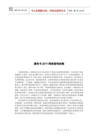 澳利卡年度网络营销战略