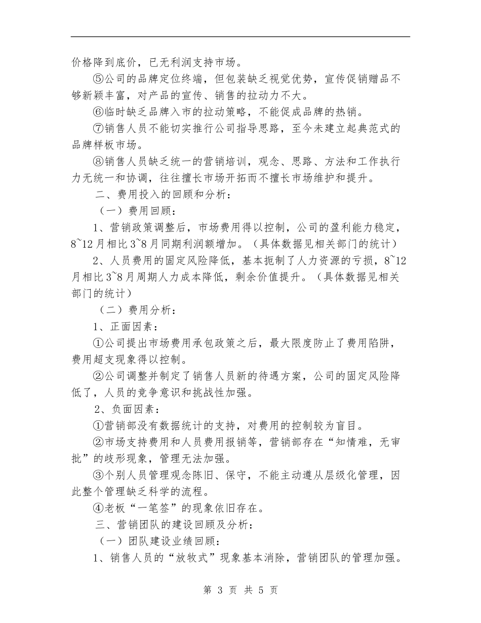 2024销售总监的年度个人工作总结优秀范文【最新版】_第3页