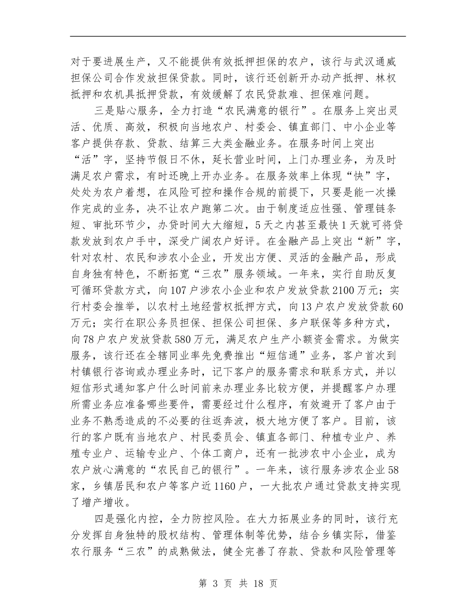 村镇银行工作总结_第3页