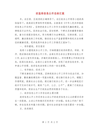 安监局信息公开总结汇报