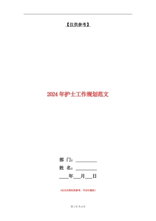 2024年护士工作规划范文