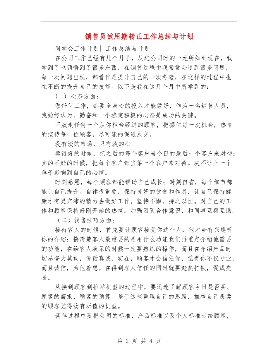 销售员试用期转正工作总结与计划_第2页