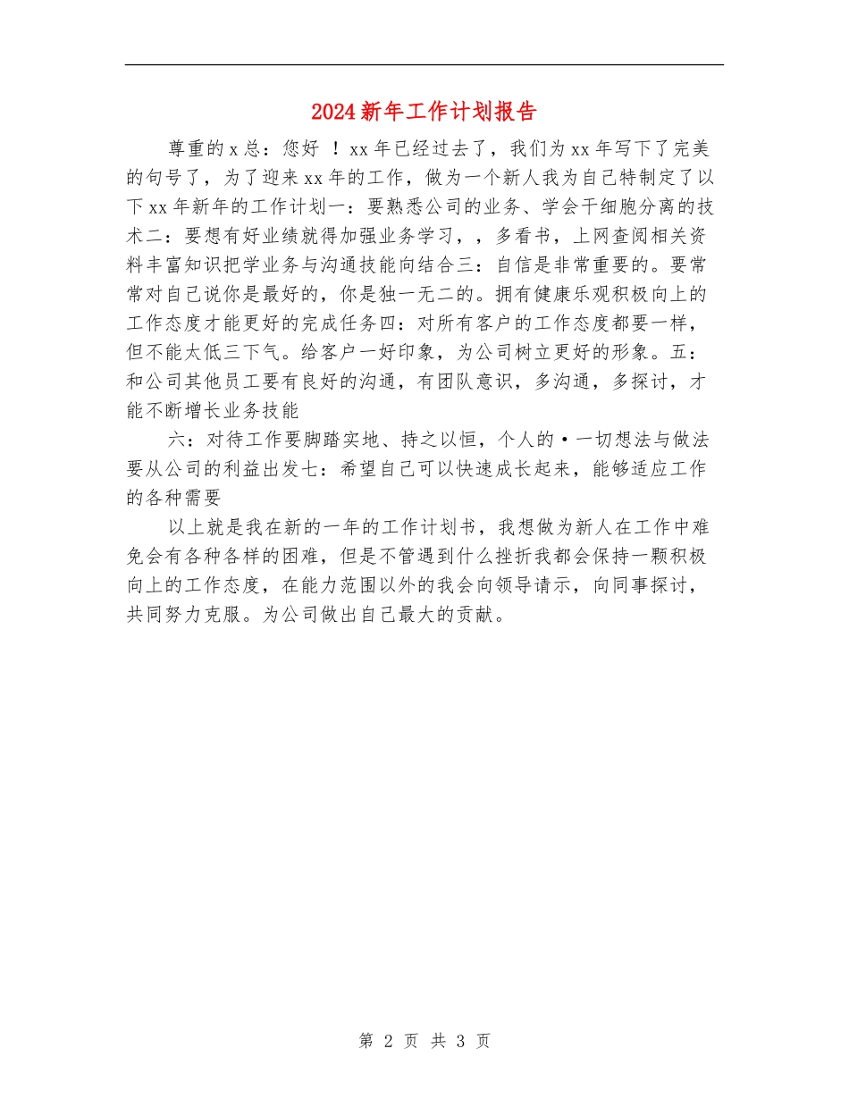 2024新年工作计划报告_第2页