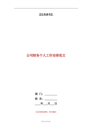 公司财务个人工作安排范文