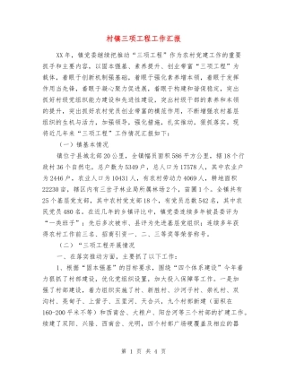 村镇三项工程工作汇报