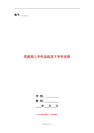 民政局上半年总结及下半年安排