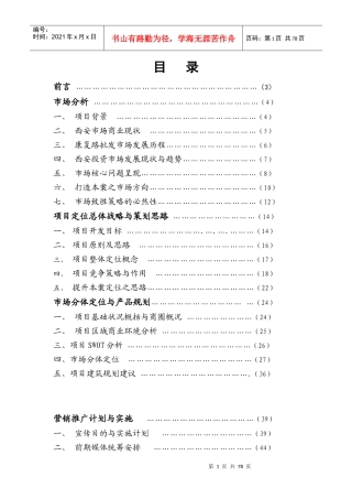 西安市某商业项目营销策划方案