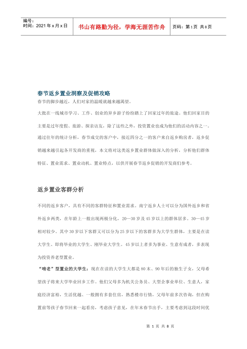 春节返乡置业洞察与促销攻略_第1页