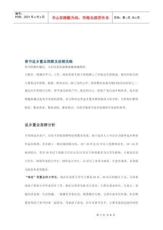 春节返乡置业洞察与促销攻略