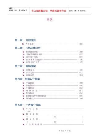白象大骨面营销策划案
