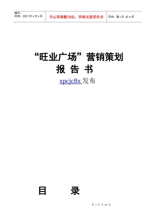 旺业广场营销策划报告书