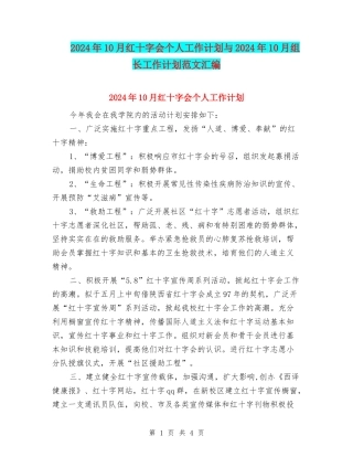 2024年10月红十字会个人工作计划与2024年10月组长工作计划范文汇编