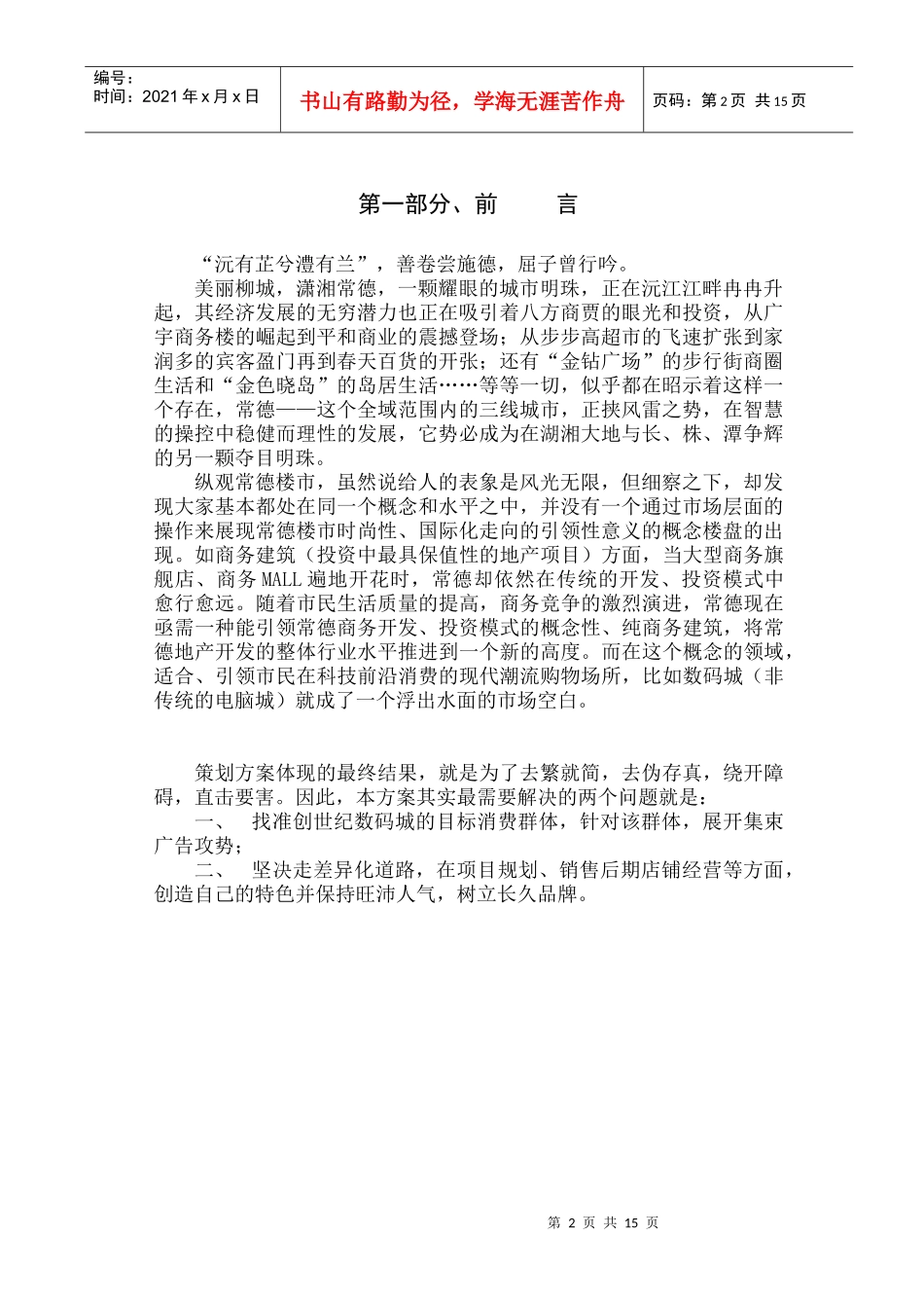 数码城营销推广策略_第2页