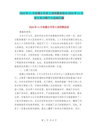 2024年11月电器公司员工试用期总结与2024年11月电工见习期个人总结汇编