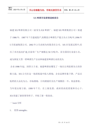 某某啤酒市场营销战略报告
