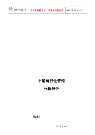 饮品山东市场可行性营销分析报告