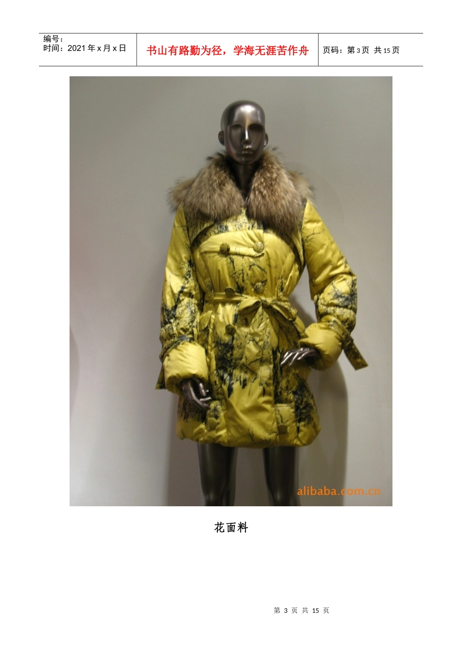 服装市场调研_第3页