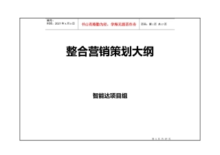 智能达整体营销策划大纲