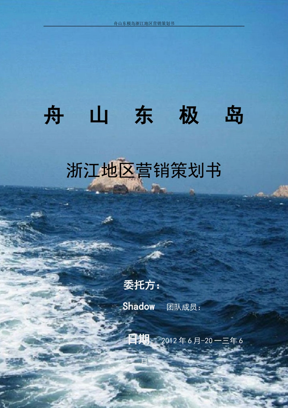 某地区营销策划书_第1页