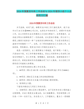2024年预算员年终工作总结与2024年领导小组个人总结范文汇编