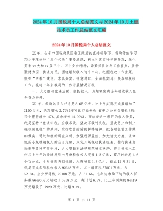 2024年10月国税局个人总结范文与2024年10月土建技术员工作总结范文汇编
