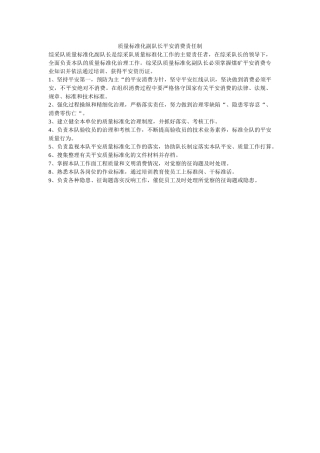 质量标ۥ准化副队长安全生产责任制精选 