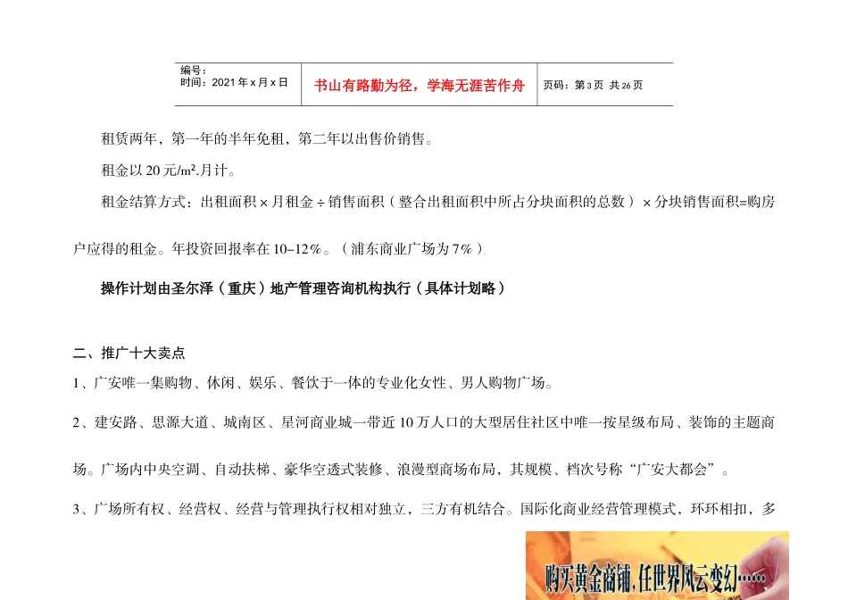 某房地产公司星河商业城项目营销企划方案_第3页